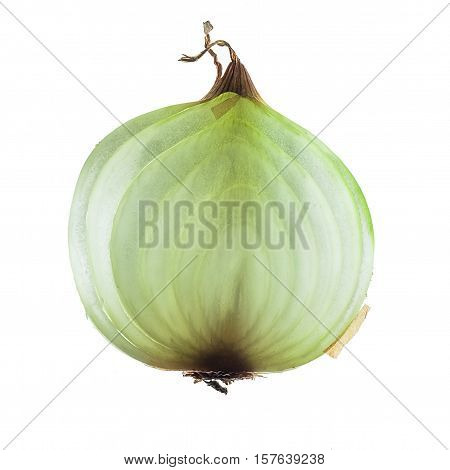 macro shot of an vegetable bulb onions in a cut closeup