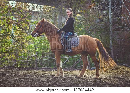Young beautiful brunette girl rides a horse on a warm and sunny autumn day. Portrait of a pretty young woman on the horse, wearing tall boots and gloves.