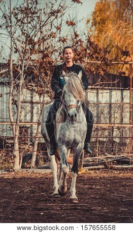 Young beautiful brunette girl rides a horse bareback with hackamore. Warm and sunny autumn day. Portrait of a pretty young woman on the horse, wearing tall boots and gloves.