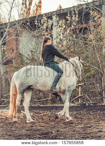 Young beautiful brunette girl rides a horse bareback with hackamore. Warm and sunny autumn day. Portrait of a pretty young woman on the horse, wearing tall boots and gloves.