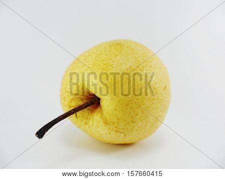 Chinese pear is popular to pay homage to that respected.