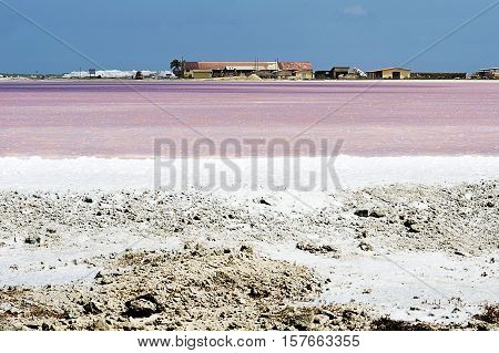Pink salt lake with factory and salt production