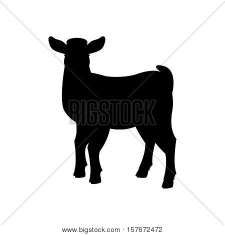 goat kid vector illustration  black silhouette profile