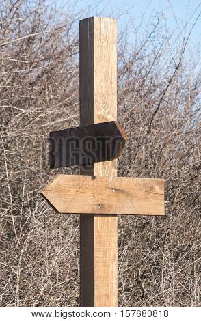 Blank wooden signboards with arrows on winter vegetation background