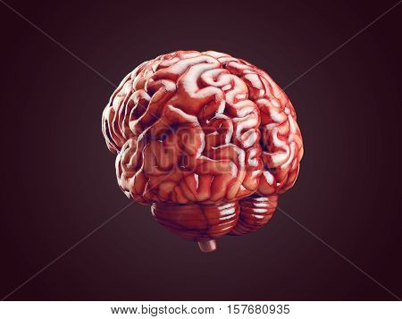 Realistic 3d Illustration of human brain with blood vessels isolated