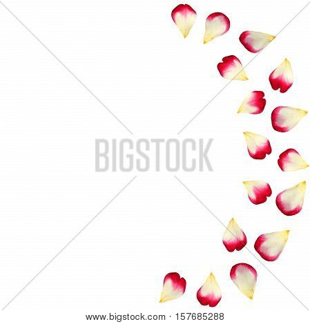 Red Rose Petals Scattered On The Floor In A Semi-circle. 3D Illustration