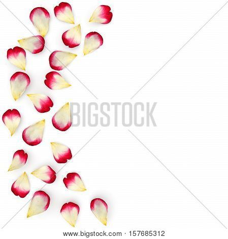 Red Rose Petals Scattered On The Floor In A Semi-circle. Under The Petals Of The Shade. 3D Illustrat