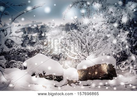 Snow-covered trees plants forest in winter filter, effect. Natural winter Christmas New Year background. Woodland snow under.