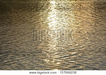 Golden water at the sundown in the lake