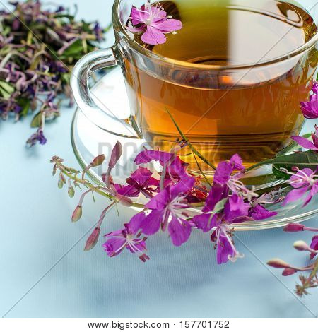 Tea Made From Fireweed. Herbal Tea. Medicinal Plants.