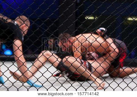 NOVI SAD SERBIA - NOVEMBER 05 2016 : MMA - SBC FIGHT TURNAMENT. ATHLETES IN THE RING EXTREME SPORT. FIGHT NIGHT PROFESIONAL ATHLETES SELECTIVE FOCUS WITH SHALLOW DEPTH OF FIELD NOVEMBER 05 2016 NOVI SAD SERBIA