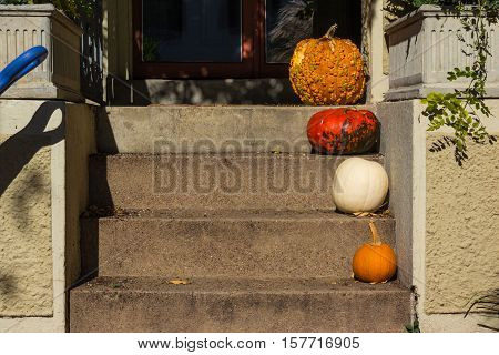Different Size Halloween Autumn Pumpkins Decoration Porch Steps Entrance Patio House Home