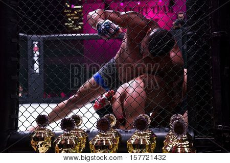 NOVI SAD SERBIA - NOVEMBER 05 2016 : MMA - SBC FIGHT TURNAMENT. ATHLETES IN THE RING EXTREME SPORT. FIGHT NIGHT PROFESIONAL ATHLETESSELECTIVE FOCUS WITH SHALLOW DEPTH OF FIELD NOVEMBER 05 2016 NOVI SAD SERBIA