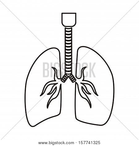 contour respiratory system with lungs vector illustration