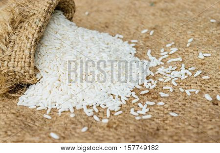 Glutinous rice in sack with hemp sacks background