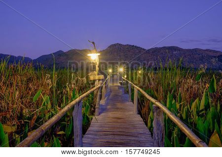 the lamp on the wood bridge go to the lake and mountain
