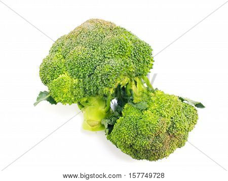 Green fresh broccoli isolated on white background