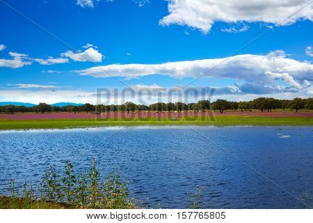 Extremadura dehesa grasslands lake in Spain along Via de la Plata way