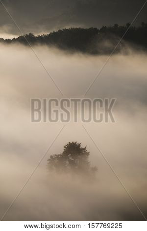 Misty landscape view and sea of clouds at Phuhuayesan in Nong khai province, Thailand.