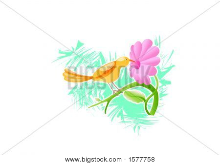 Bird And Flower