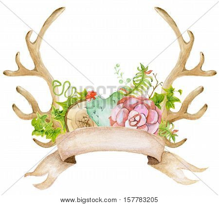 Watercolor antler with succulent cactus and leaves. Hand painted deer horns.Boho style for your design. Wedding invitation Valentines Day cards ect