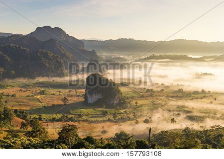 Beautiful sun rise phulangka mountain and the mist