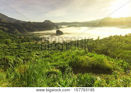 Beautiful sun rise phulangka mountain and the mist