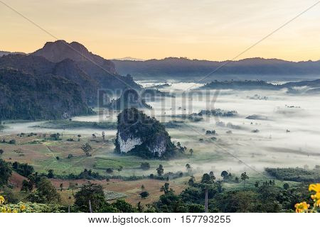 Beautiful sun rise phulangka mountain and the mist