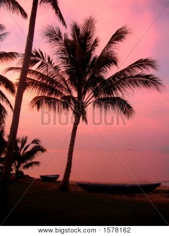 Pinkcoconut
