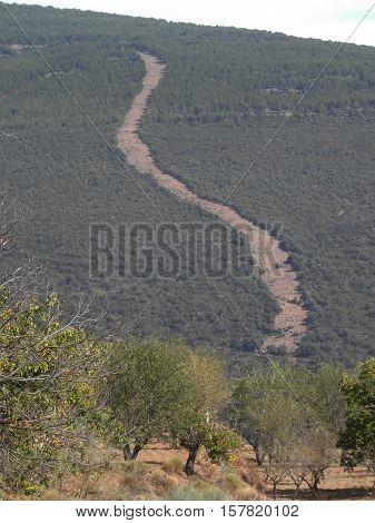 Forrest firebreak in Sierra Nevada region in Andalusia Spain