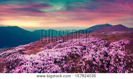 Summer Evening Scene In The Carpathians.