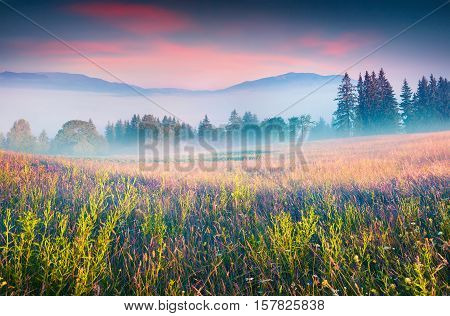 Colorful Summer Scene In The Foggy Mountain Village.
