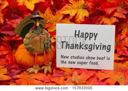 Funny Happy Thanksgiving Greeting Some fall leaves and a turkey sitting on a pumpkin and a greeting card with text Happy Thanksgiving and beef is a super food