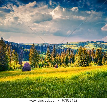 Haymaking In A Carpathian Village.