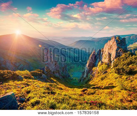Colorful summer sunrise in the Carpathian mountains. Subalpine meadow Gadzhina wiev from Shpytsi mountain Ukraine Europe. Instagram toning.