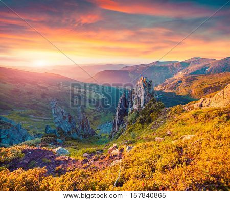 Colorful Summer Sunrise In The Carpathian Mountains