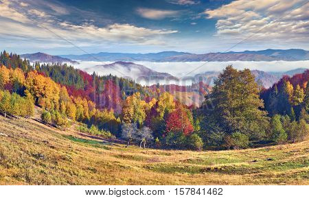 Colorful Autumn Morning In The Carpathian Mountains.