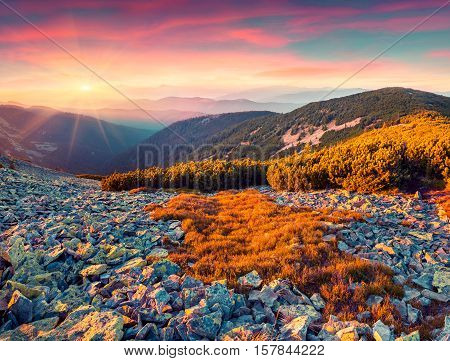 Colorful Autumn Sunrise In The Carpathian Mountains.