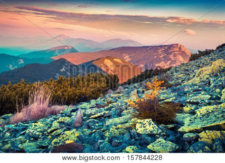 Colorful Autumn Sunrise In The Carpathian Mountains.