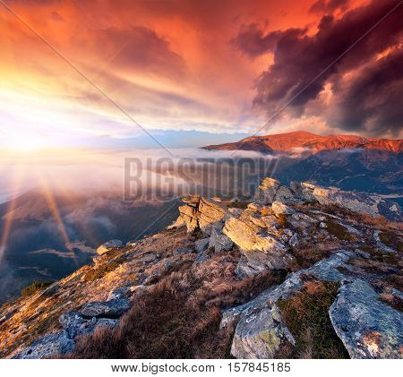 Colorful Autumn Landscape In The Mountains. Sunrise