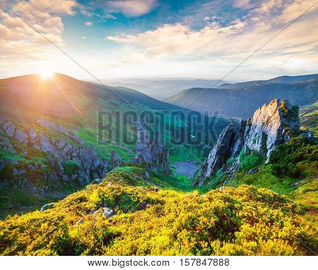 Colorful Summer Sunrise In The Carpathian Mountains.