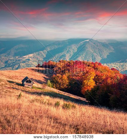 Colorful autumn sunrise in the Carpathian mountains. Krasna ridge Ukraine Europe.