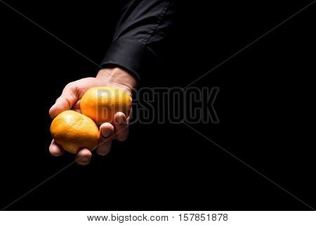 Fresh fruits. Close up of young mans hands holding tangerines while stnding on black background and working in restaurant.