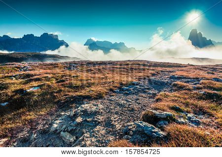 Morning In The National Park Tre Cime Di Lavaredo