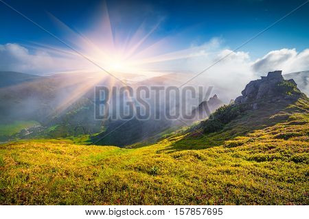 Foggy Summer Scene In Carpathian Mountain