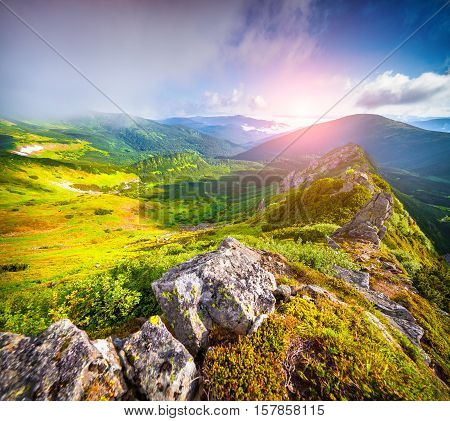 Foggy Summer Scene In Carpathian Mountain.