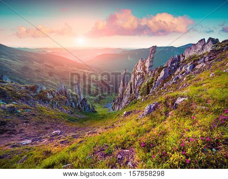 Colorful Summer Sunrise In The Carpathian Mountains