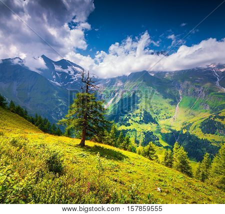 View From Grossglockner High Alpine Road