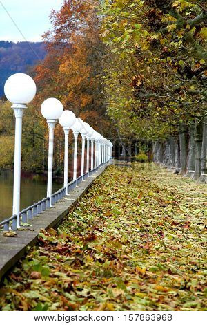 Spherical white glass plafond street lights and plane alley on riverside. German park.
