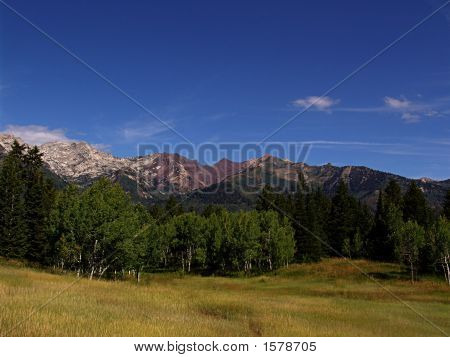 Hoge berg platte